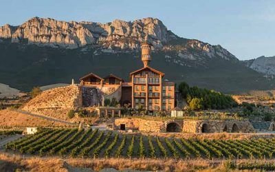 How to organise a visit to a good winery?
